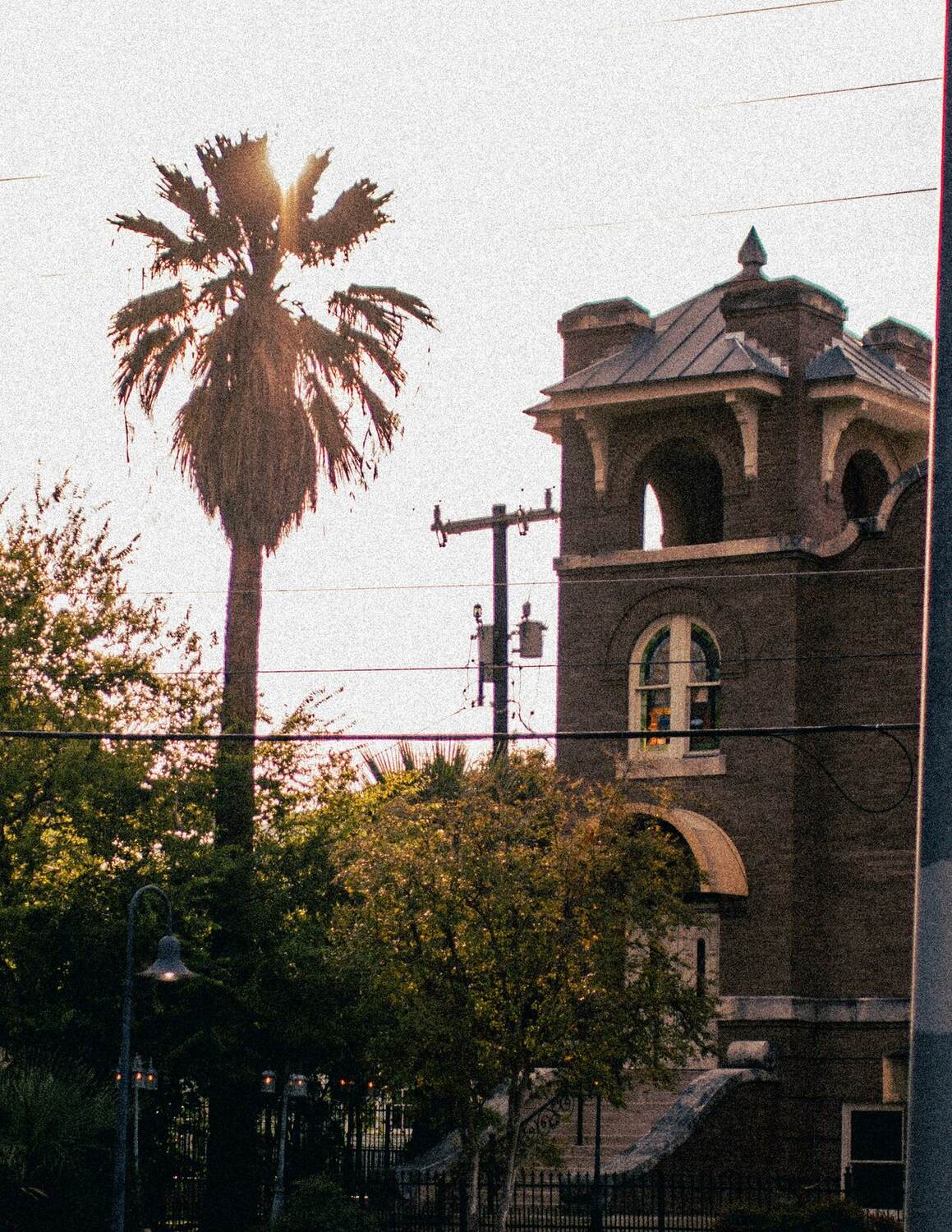 Palm tree beside a brick bell tower at sunset in San Antonio